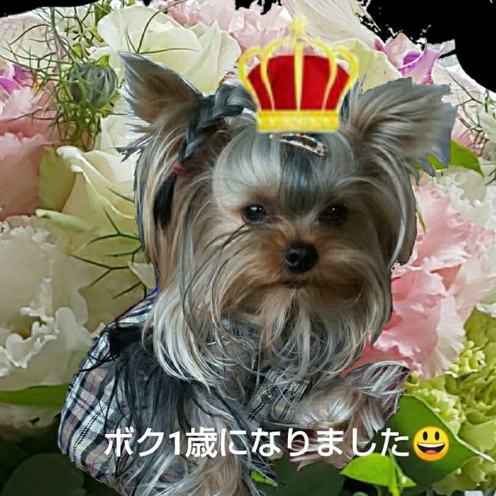 D04fc346 53ee 49d4 bbac d21bde24aed1 1612223894240