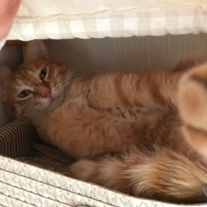 D04fec3f 6d52 4b34 a385 bd7c54dd9037 1528418073453