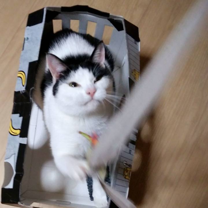 D04ff87d 0085 4359 8067 c4c2cf12b717 1552043068298