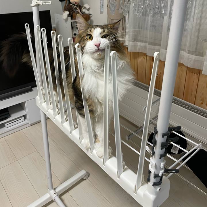 D04ffaff d77c 470e 8d5a 82b295c9bbcb 1643055798353