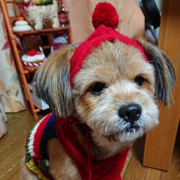 D0500ba1 379e 4ed5 872d e2191d85b817 1577784705716