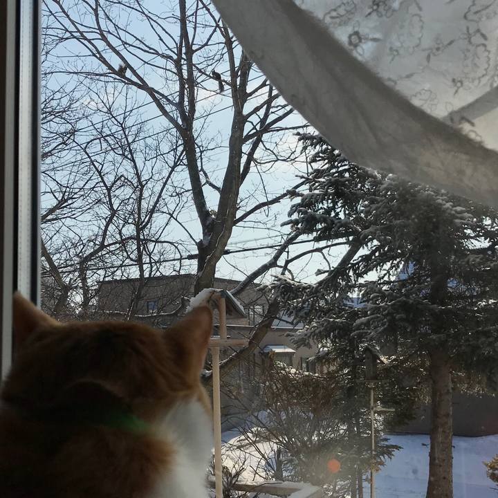 D050275a 31b0 4082 b80c e1a0f01376e6 1581725199589