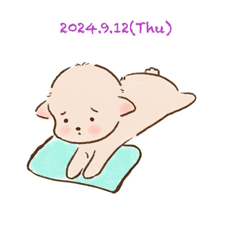 D0505d5e fbd8 4f3e 8bce e65f53abf120 1726147789089