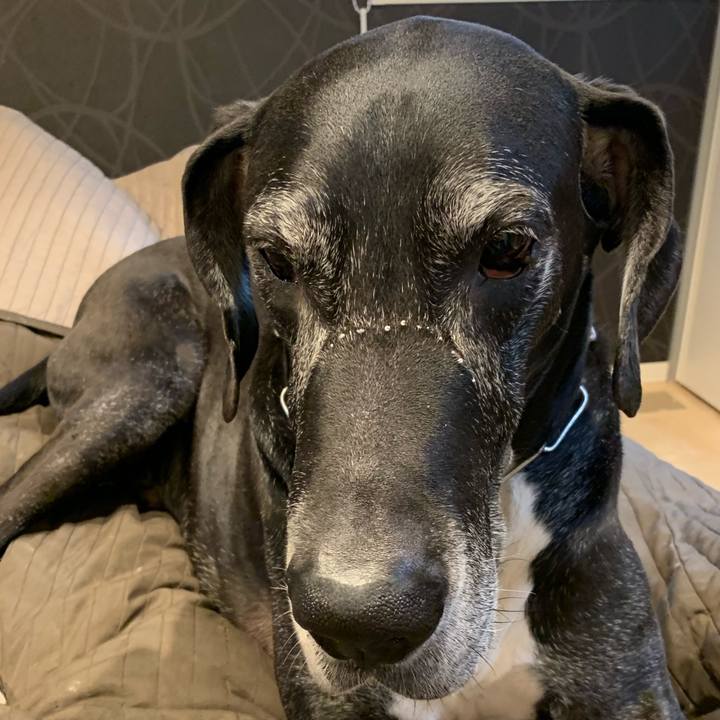 D05081ca 4203 4838 892c b3ecf9e9f682 1554758713299