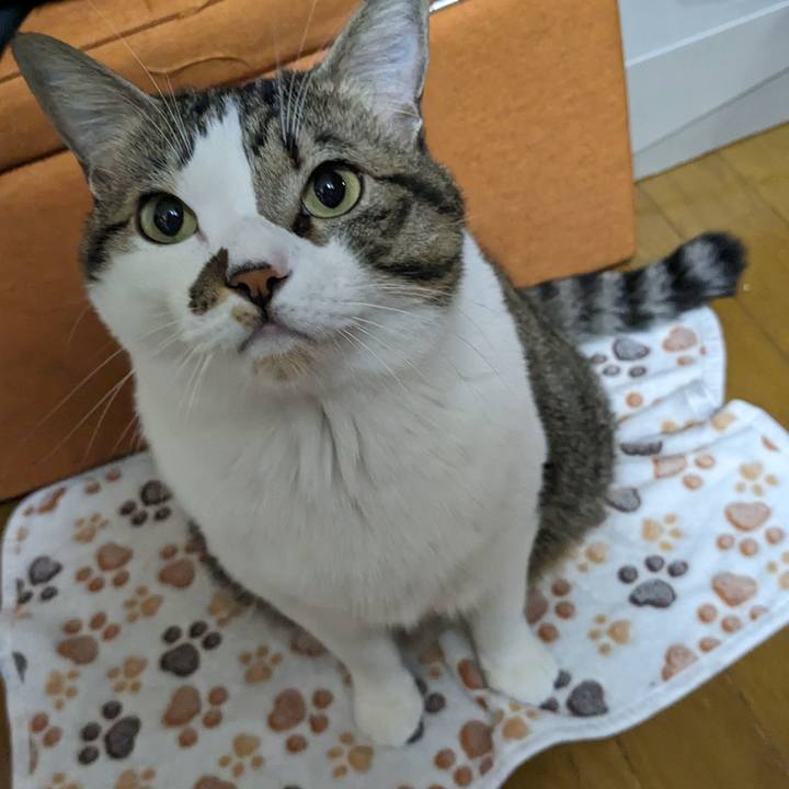 D0508859 3bcf 41b3 9aea 8398d0ea9e99 1700603547514