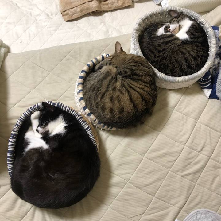 D050e1c5 423b 4dd5 9215 e14c75613b24 1659736404652