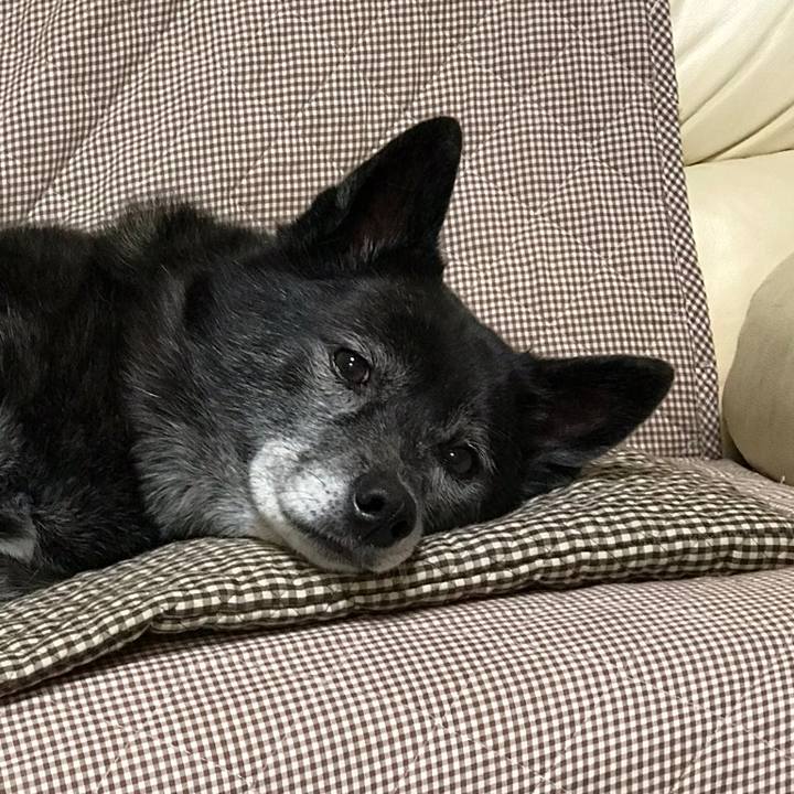 D050f930 936e 4ec7 ab99 b50fb7222aa1 1548943454058