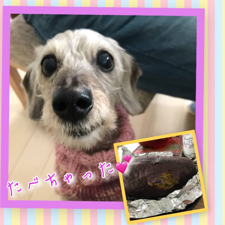 D050fc54 d94d 44eb 84aa d918768cd37a 1514006445898