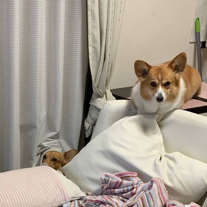 D0511cf7 bdf4 4f1e 8ac8 3eb0b6df594c 1558880361691