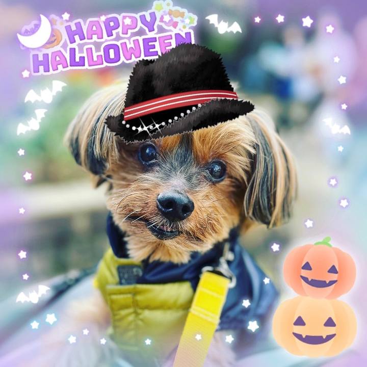 D0511d6e f0c0 4de0 985b f8e43bc1d4e1 1667169180036