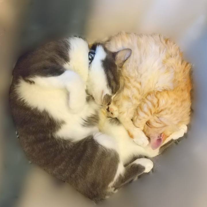 D0514aa9 b6f6 4d87 9508 01dc7e06465d 1659961421272