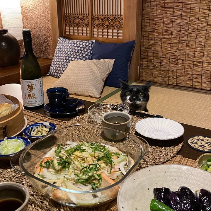 D051851f 9988 4470 97a0 24bed622f435 1596271665934