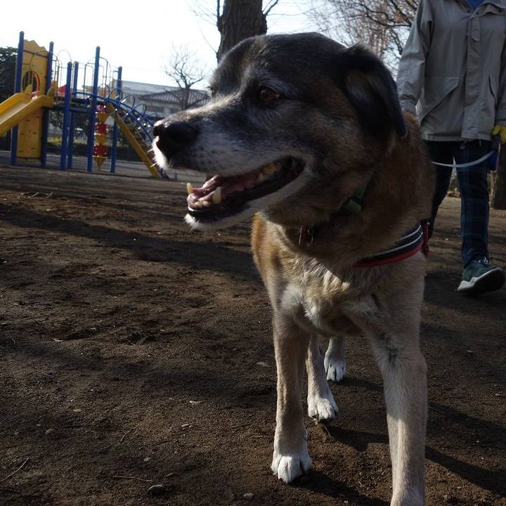 D0518692 5e40 4fe4 9795 dcd85c5dbee2 1518314298827