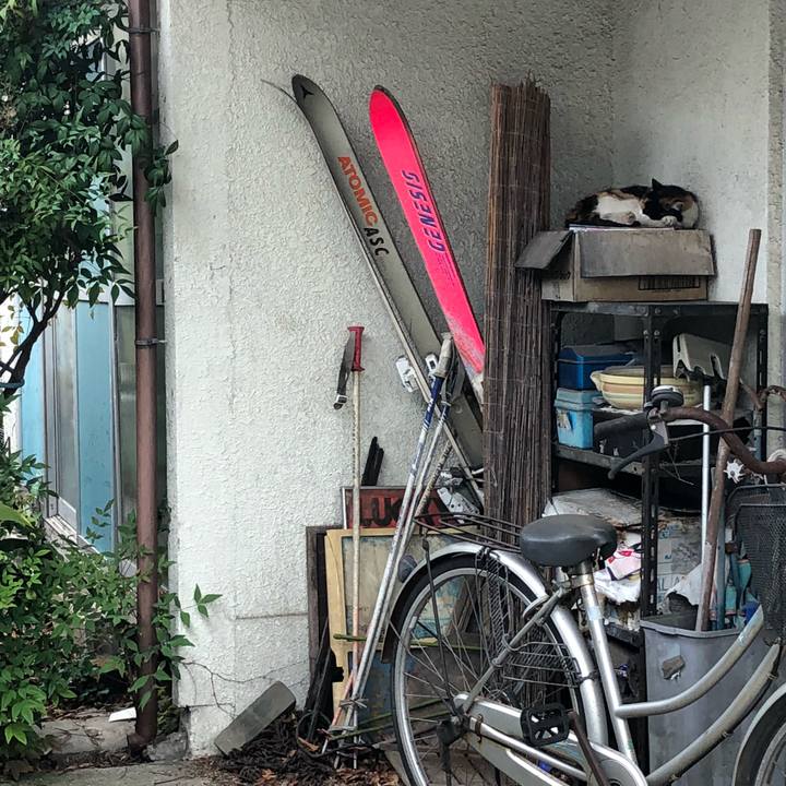 D051939a f94a 4ef9 92e6 fe7f7d4adc34 1529737005597