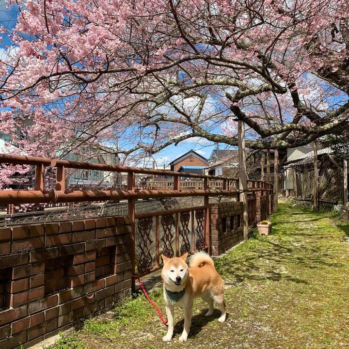 D051a566 6a75 46b9 8b83 644b5ae58f51 1649068627477