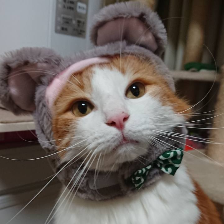 D051bc39 b8f5 4599 9e32 52312f50007e 1577837147056