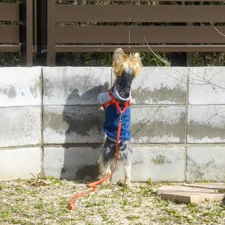 D051c20f 94de 4e2c 8106 a4eed52be8d4 1614678787204