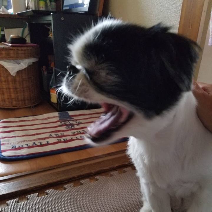 D051c2fc 9c2a 4952 807a 1ebb9e1677ee 1570358930204