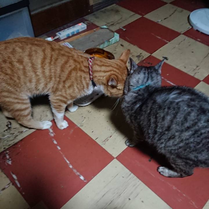 D051d2c4 e24c 49cf 8a0f 18b194f6b830 1566244169710