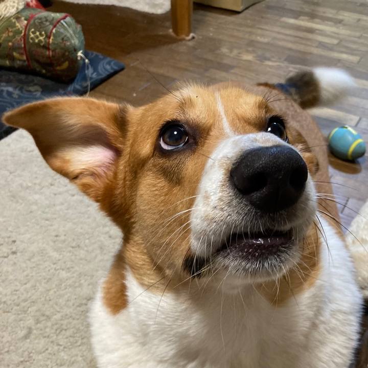 D052137a 7086 4c46 a8eb cd6f0fda2752 1666141478382