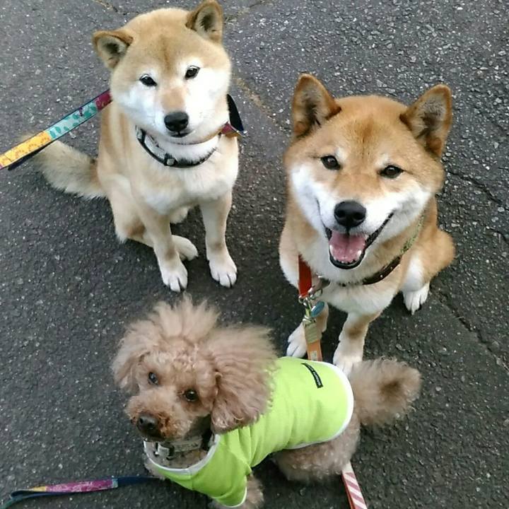 D0522ff0 7158 453f 96d0 e0752096a9e3 1529403379464