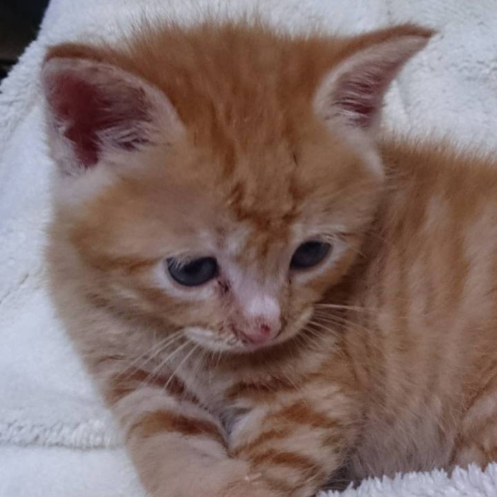 D0524d18 bb45 46cf a990 9bac7fd0761f 1593211321031