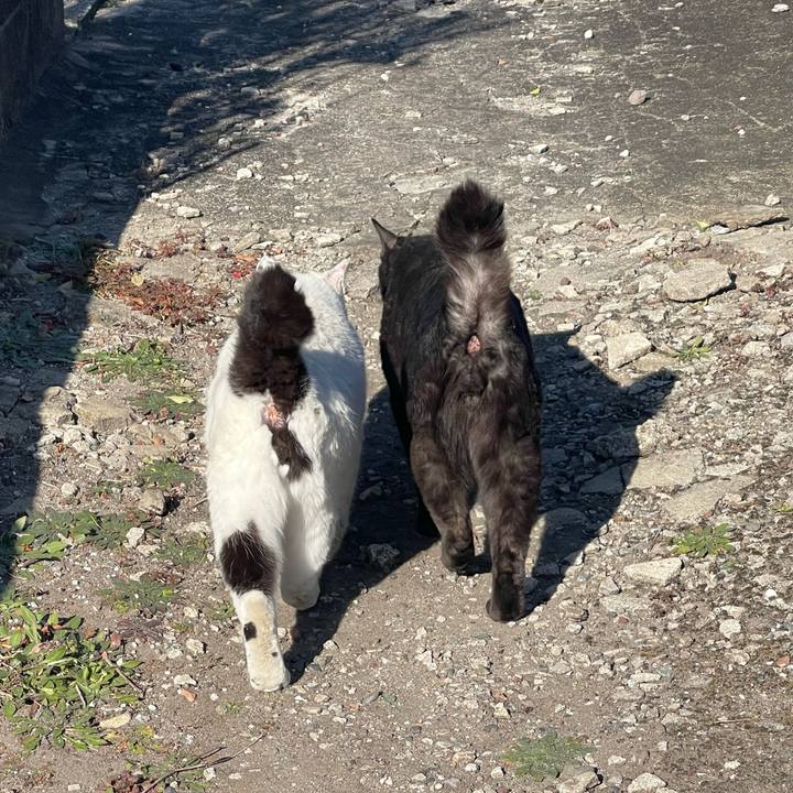 D05251ef 1392 438d afef 843e584a674f 1768828199929