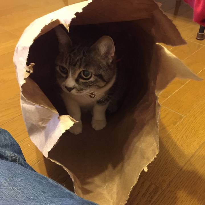 D0526c91 953a 41e1 a088 fb7f2f299c56 1556706339285