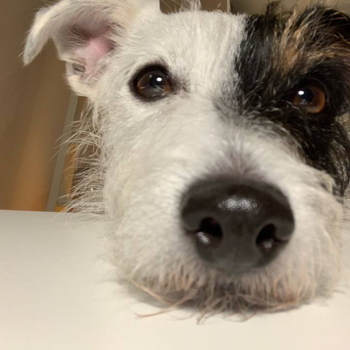 D052785a 3dd8 45f9 a4cb 2409d394acd0 1605096706874