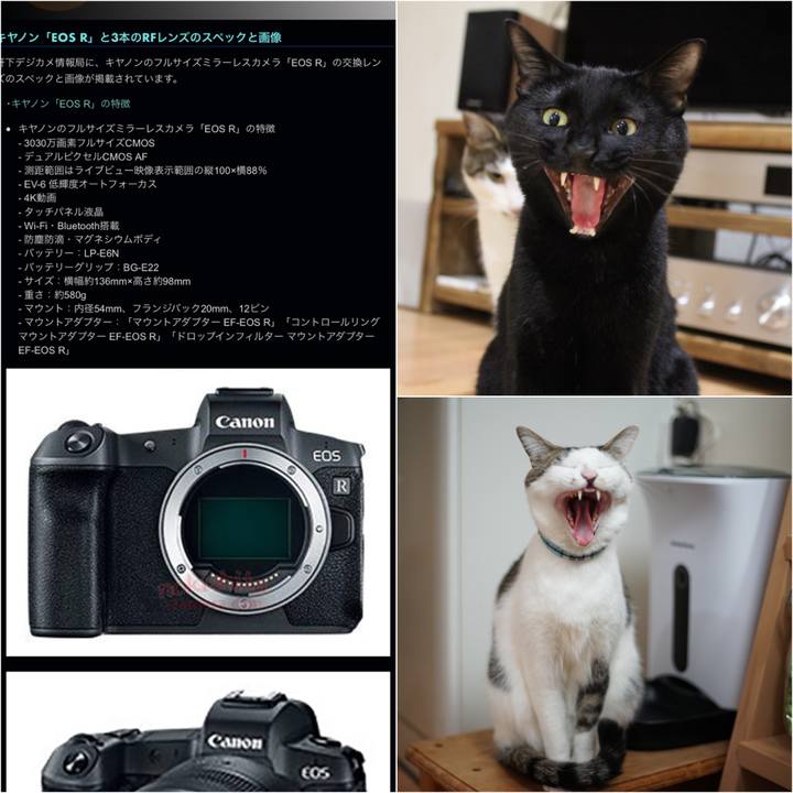 D0528457 a8b8 48b9 96bb 1e3bd5c6fde3 1535770622311