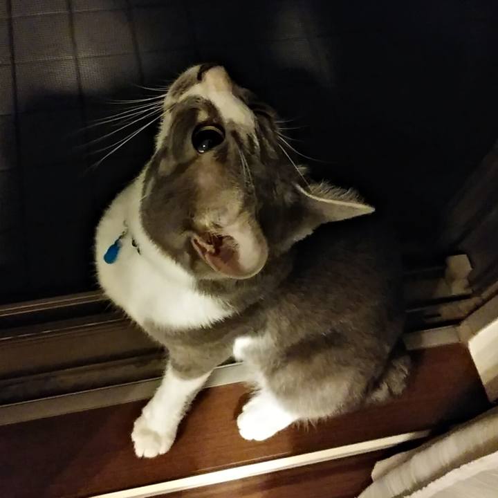 D0529dc5 174a 4c7c 82bc ee8cadeb700a 1592661485597