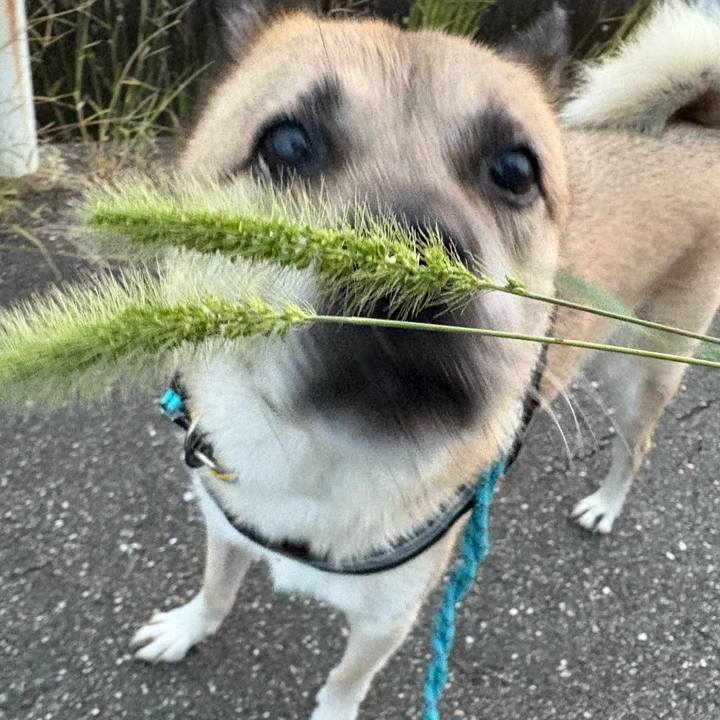 D052f8cc 9d1d 4d4b 8f35 822ddf47ae15 1758890222290