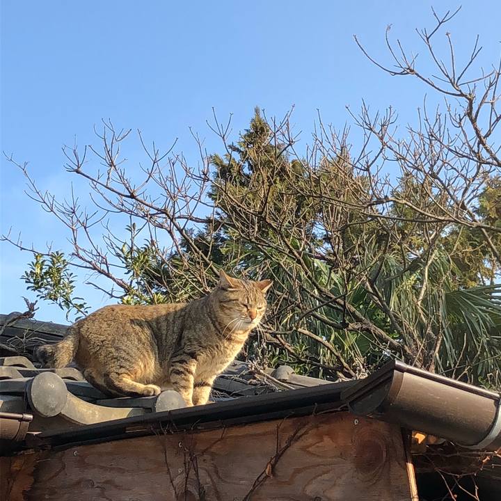 D0531670 41cd 4e91 a79a a30dabcd4708 1521103921658