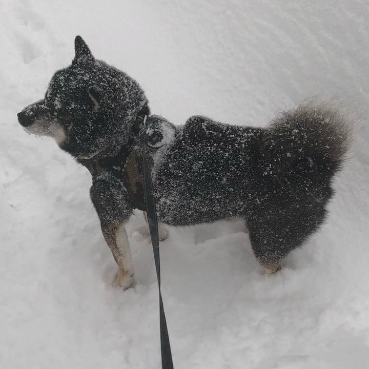 D05317aa 2a32 473a a819 1086616b3e87 1612780081974