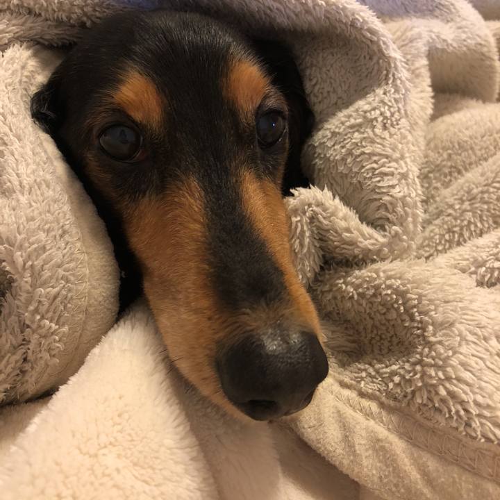 D053abbe b7e0 4253 9d9c 8f6e5a00b5a4 1542455300791