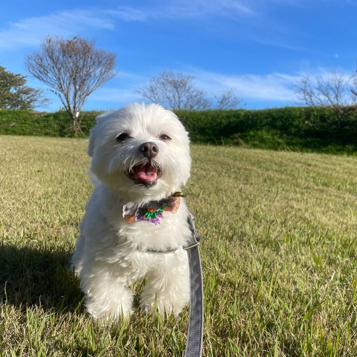 D053d1ed a7da 4554 90e0 68c903c598a9 1773231521387