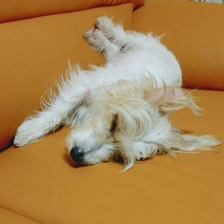 D054033a d0af 40e4 81eb 6764cecf129d 1520348019065