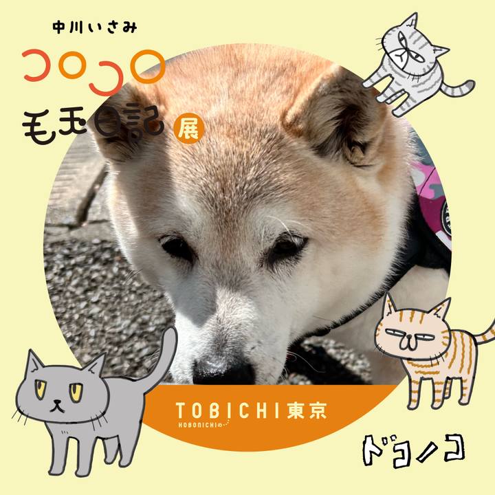 D0548c8b ac0d 400c b680 2818df52f18a 1740117880778