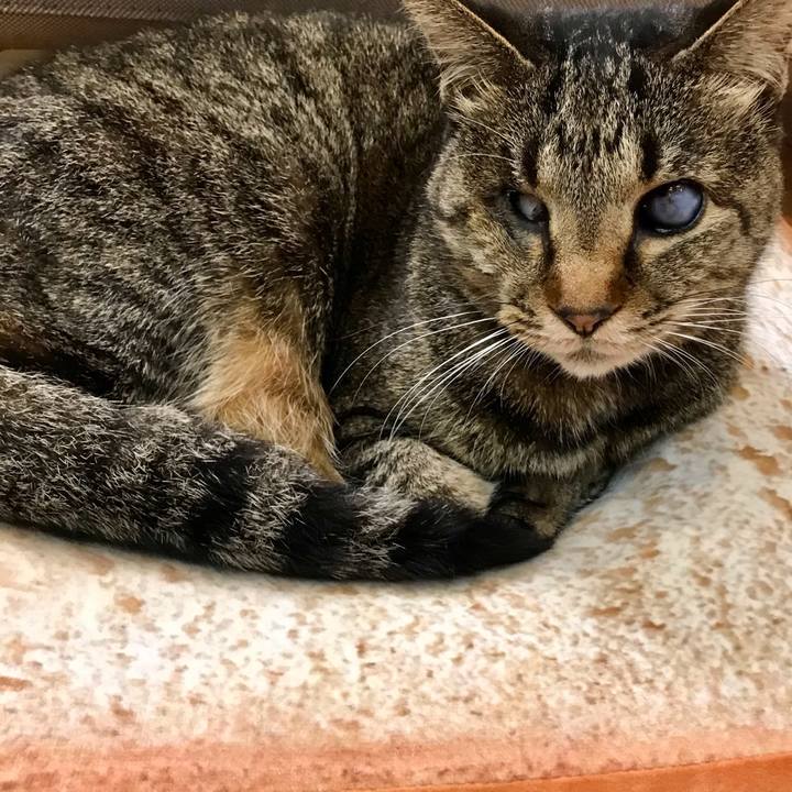 D054e16d dd5f 46ad af47 16bb53b5ba69 1614734153808