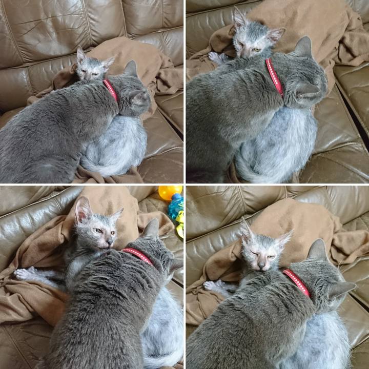 D054f686 0042 4dad 823a 2a99e428a964 1516077577567