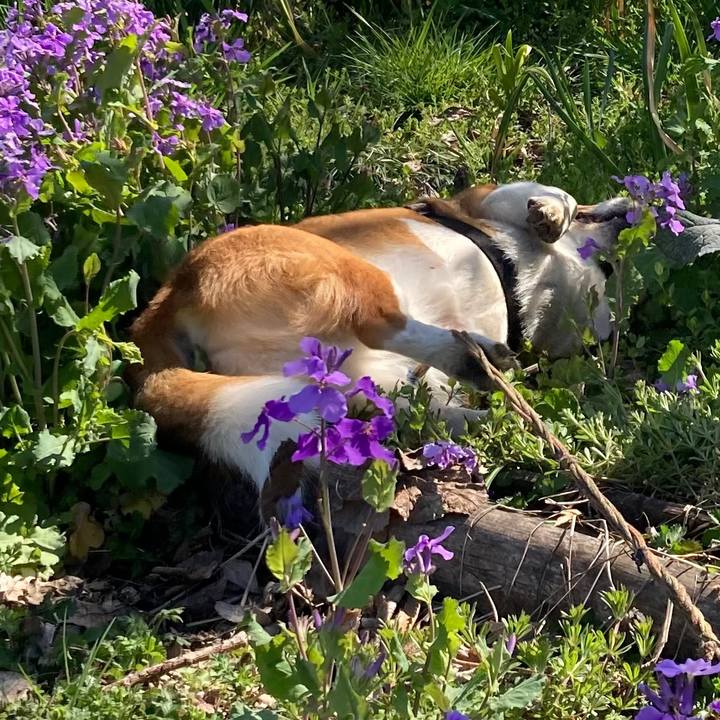 D0553300 e9c3 4144 b322 88fc41102301 1679367762917