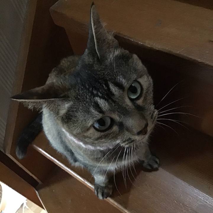 D055344f 3f7a 40df 9277 361a1c703a95 1690196742476