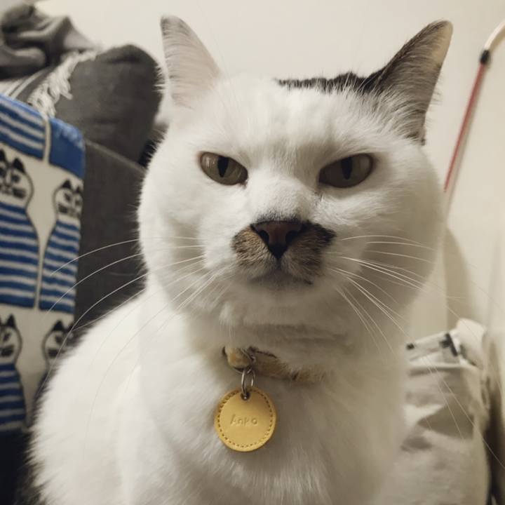 D0555848 5a3e 4834 bd79 f3b35f1e1972 1545299301668