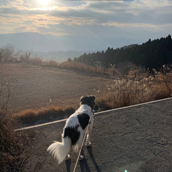 D0559b4f 5f25 42ae b84e cfd8927606b0 1579340103827