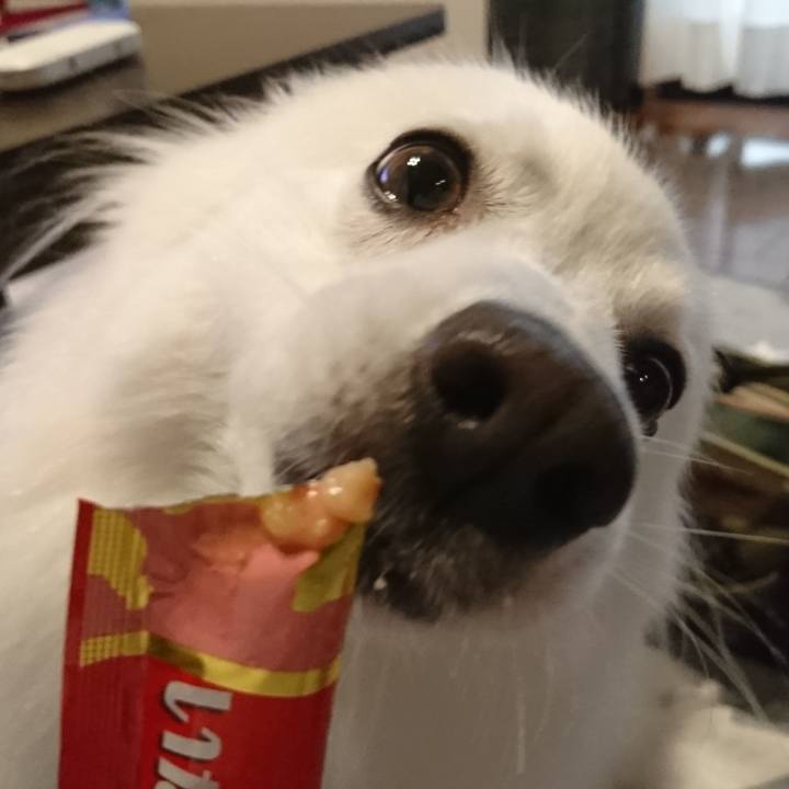 D055a5cb 84a4 40e9 8949 45ddf2b1e749 1593335532178