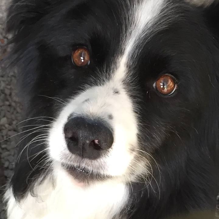 D055c8b6 5a5c 4f35 ad2c 1bfdca210d0d 1568782993829