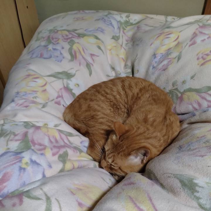 D055e2a6 eb93 4556 942e da2afb88460a 1668775387423