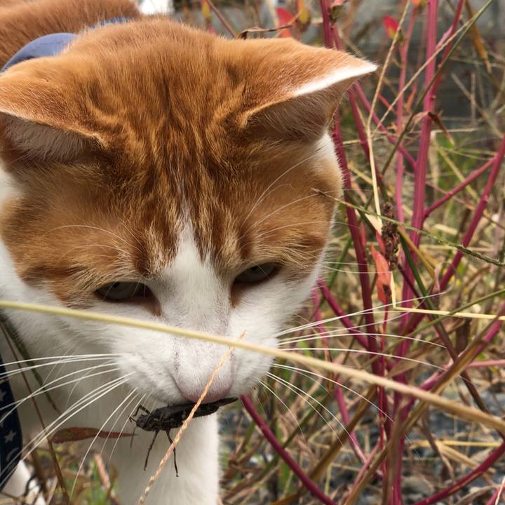 D055e50c c19b 4e67 91a0 c2a1c024f965 1539676394696