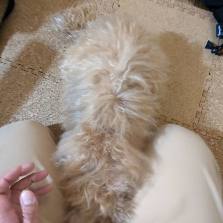 D055f6b3 5dcc 4e35 a905 78dc3a12ce0a 1711753469724