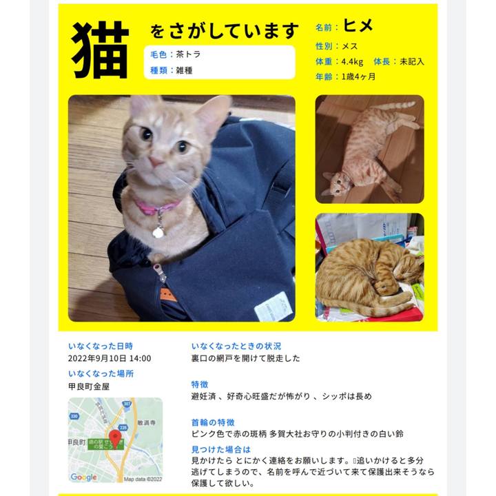 D0560d44 3481 4e44 a1ad 1d2e0e2298b2 1664090249287